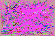 find phone numbers